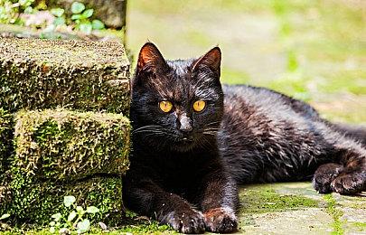 《光环：无限》玩家发现代码查看隐藏天梯分方法